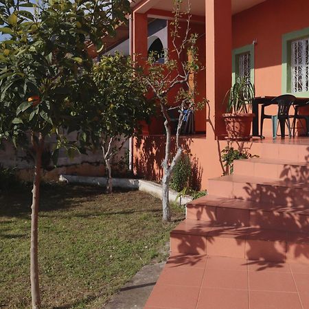 Vila 8 Kruje Bagian luar foto